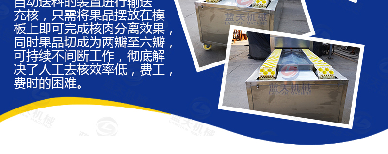 水果去核機產(chǎn)品介紹