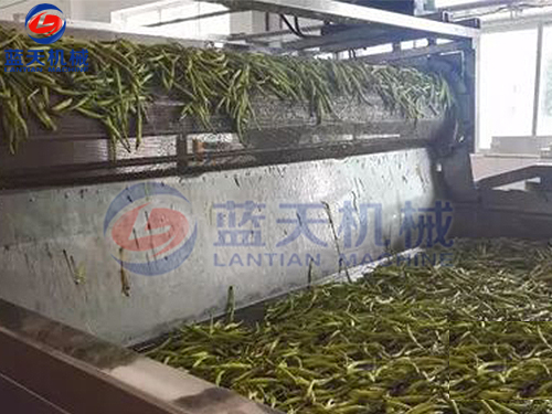 湖南帶式果蔬烘干機用戶現(xiàn)場