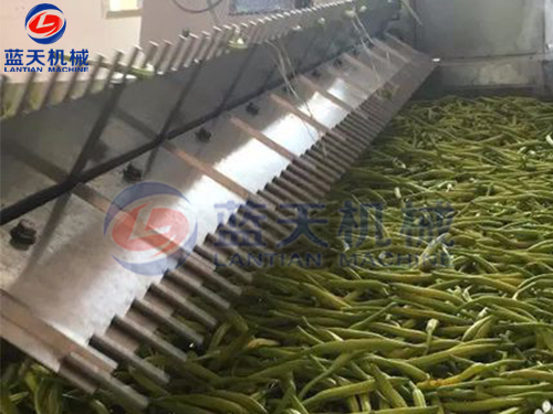 湖南帶式果蔬烘干機用戶現(xiàn)場