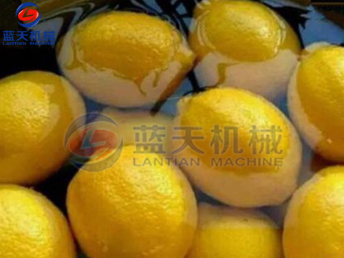 云南水果烘干機用戶現(xiàn)場