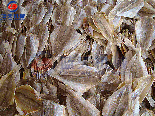 浙江魚干烘干機用戶現(xiàn)場